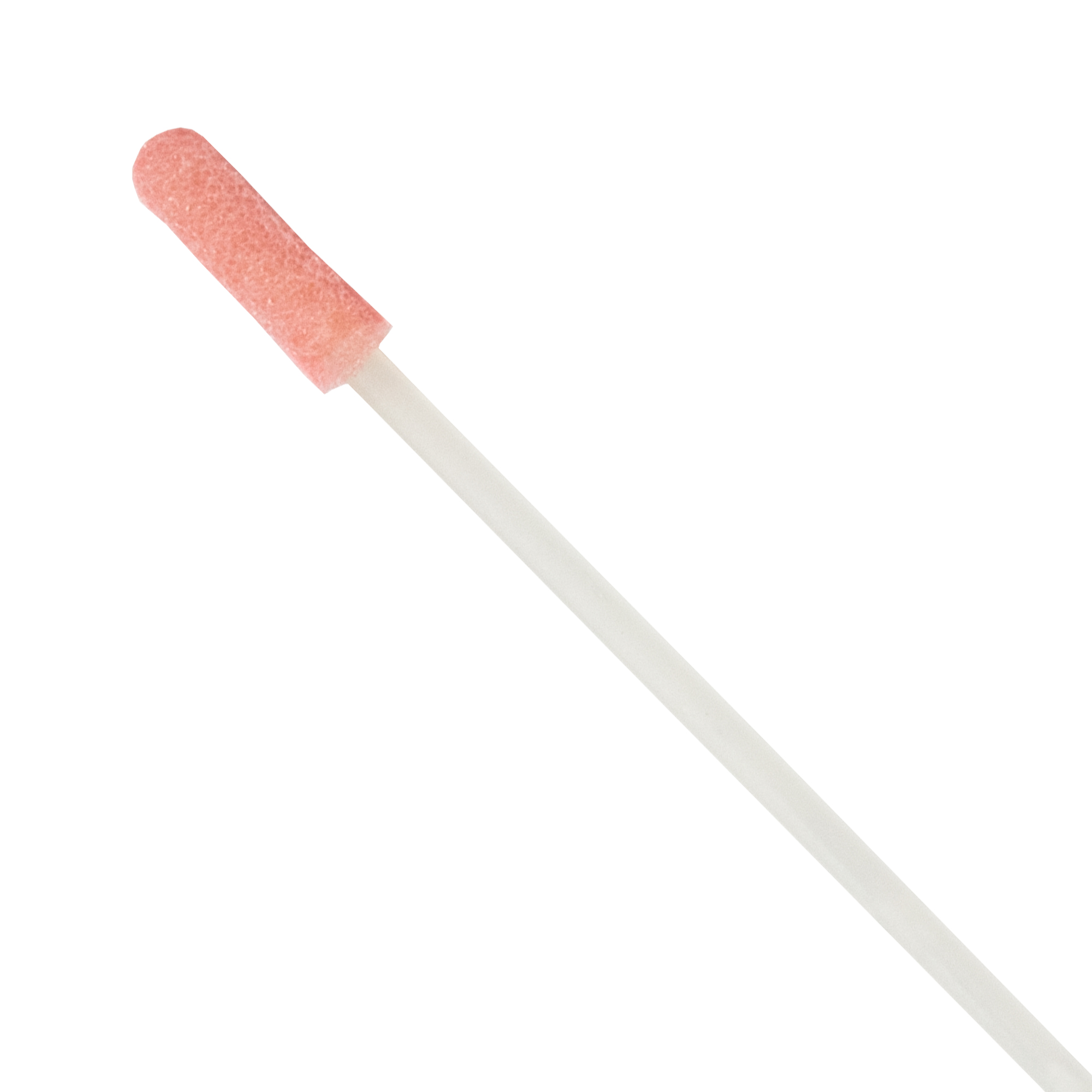 Cotons-tiges / Swab 1273-PF ESD